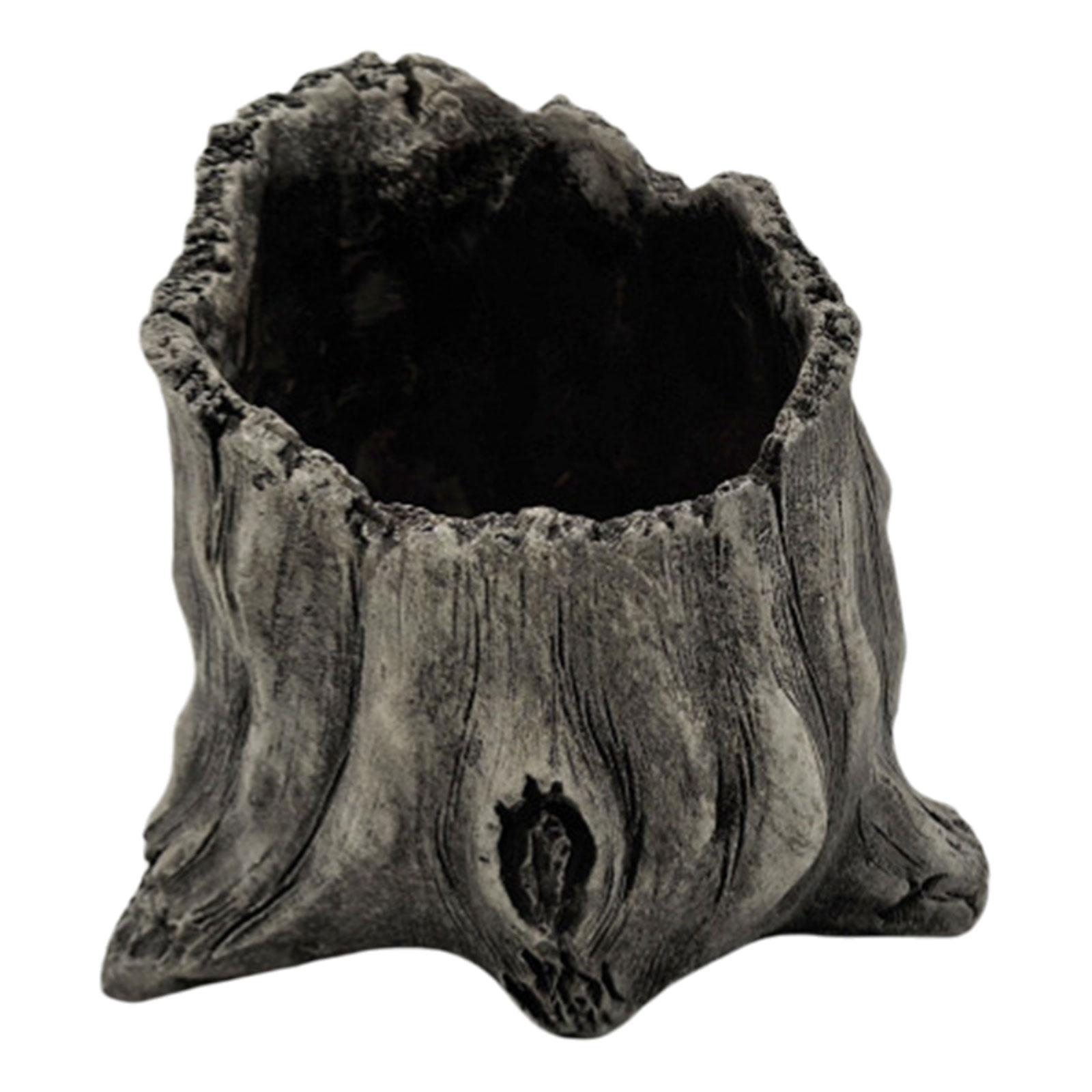 Кашпо для суккулентов Кашпо из коряги Горшки для суккулентов Горшки для маленьких растений Горшки для цветов Горшки для кактусов Кашпо из пня дерева Деревянное кашпо Украшения 3
Кашпо для суккулентов Кашпо из коряги Горшки для суккулентов Горшки для маленьких растений Горшки для цветов Горшки для кактусов Кашпо из пня дерева Деревянное кашпо Украшения 3