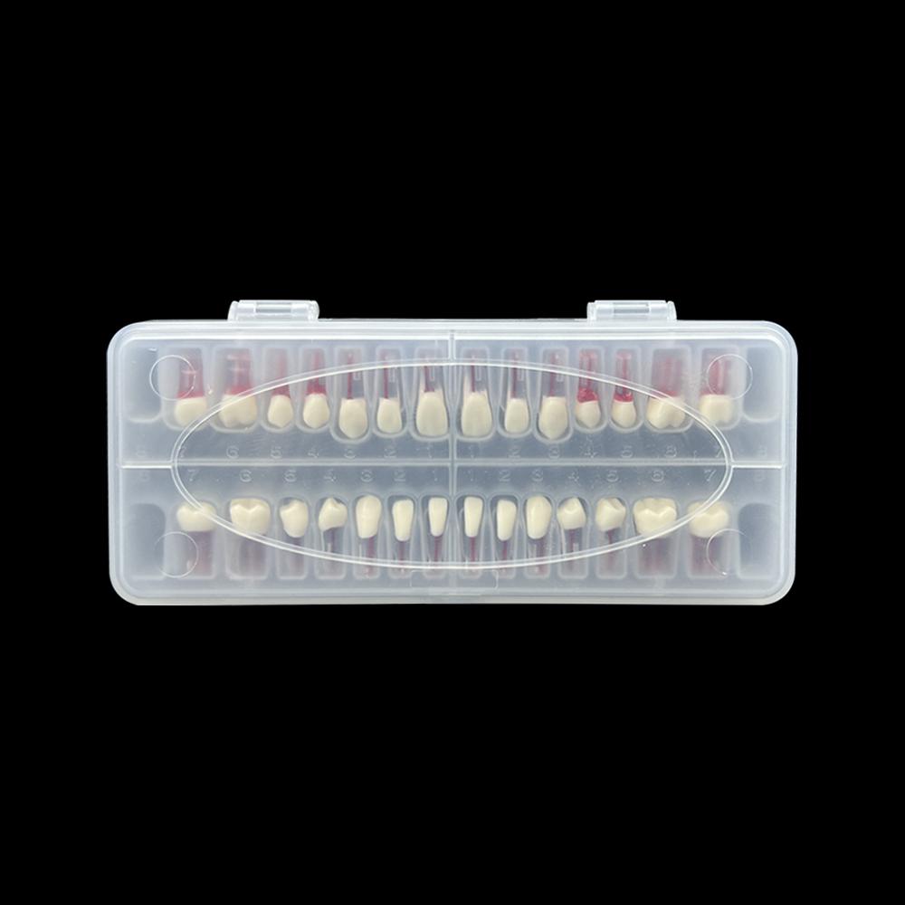 Стоматологические Модели Корневых Каналов Зубов Эндодонтия Rct Блок Полость Пульпы Практическая Модель Обучение Студентов-Эндодонтов Учебная Смола Заменить
Стоматологические Модели Корневых Каналов Зубов Эндодонтия Rct Блок Полость Пульпы Практическая Модель Обучение Студентов-Эндодонтов Учебная Смола Заменить