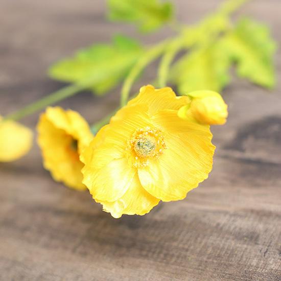 Artificial Poppy and Chrysanthemum Silk Flowers - Elegant Wedding and Home Decor Bouquets
Artificial Poppy and Chrysanthemum Silk Flowers - Elegant Wedding and Home Decor Bouquets