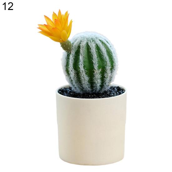 Мини-бонсай, портативный ландшафтный дизайн, свежие красивые моделирующие суккулентные растения для двора 12
Мини-бонсай, портативный ландшафтный дизайн, свежие красивые моделирующие суккулентные растения для двора 12