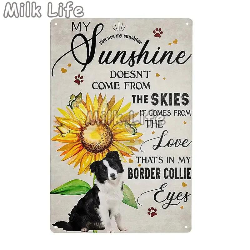 Metal Tin Sign Vintage Funny Border Collie Dog for Coffee Bathroom Toilet Pet Shop Home Sweet Home Sign Bedroom Art Wall Deco 20x30cm(7.8x11.8inch)
Metal Tin Sign Vintage Funny Border Collie Dog for Coffee Bathroom Toilet Pet Shop Home Sweet Home Sign Bedroom Art Wall Deco 20x30cm(7.8x11.8inch)