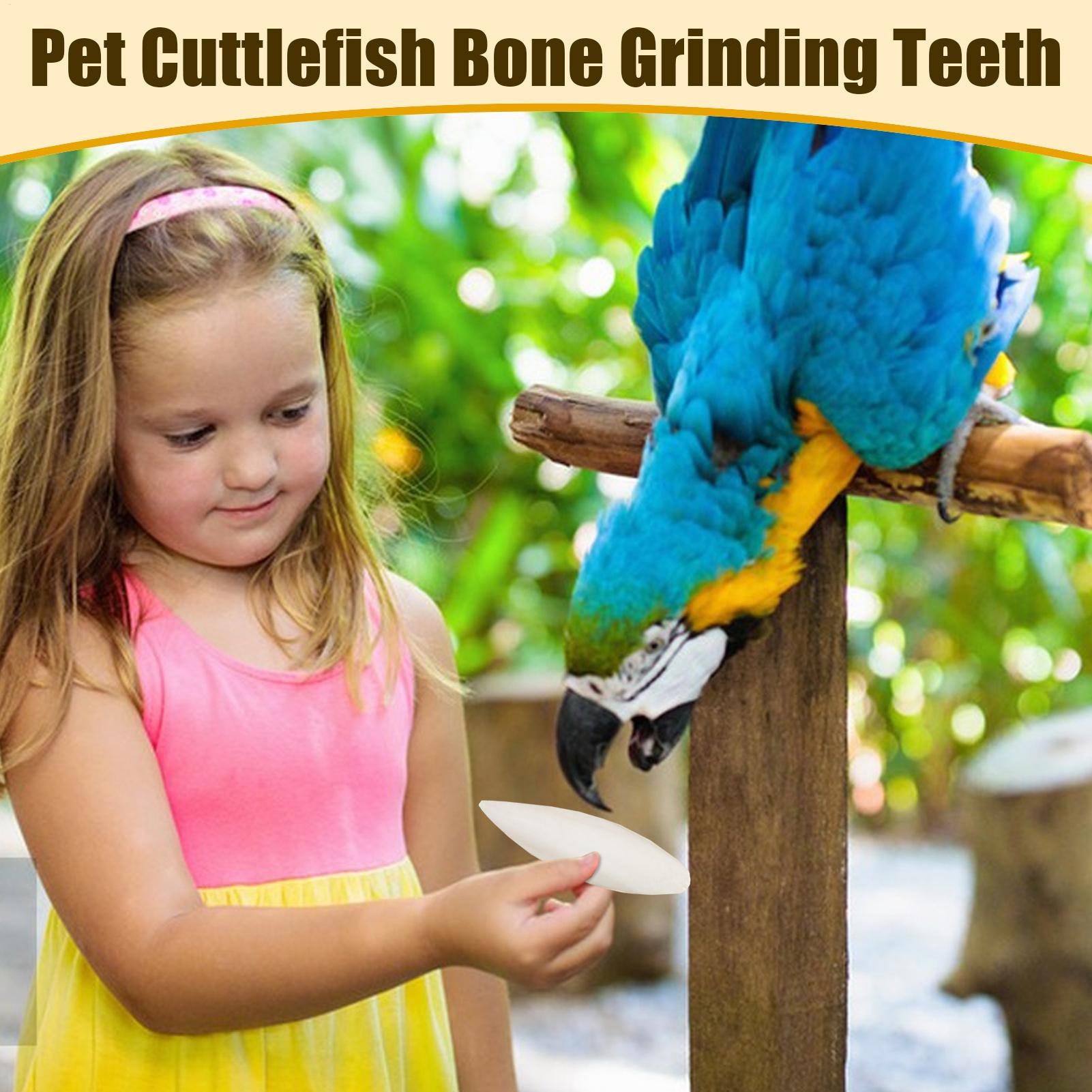 Сепия для волнистого попугайчика Натуральный кальций для попугаев 4 штуки Пищевая добавка для домашних птиц Кальций для корелл CHINA
Сепия для волнистого попугайчика Натуральный кальций для попугаев 4 штуки Пищевая добавка для домашних птиц Кальций для корелл CHINA