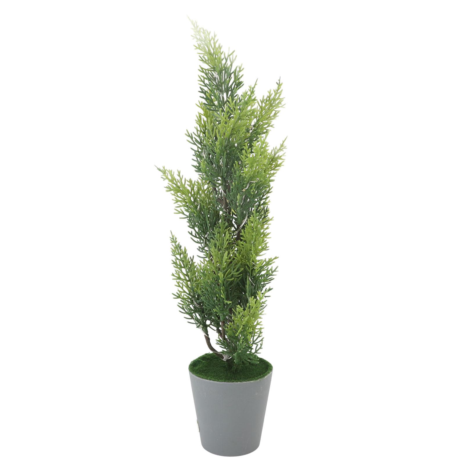 Lighted Cypress Tree Decor USB Powered LED Mini Light Up Table Centerpiece Simulated Indoor Bar View
Lighted Cypress Tree Decor USB Powered LED Mini Light Up Table Centerpiece Simulated Indoor Bar View