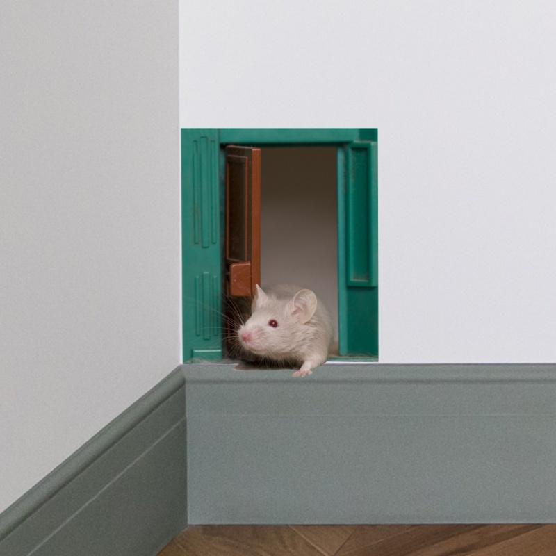 Creative Baseboard Concealer Wall Stickers Simulation Mouse Door Opening Wall Stickers Bedroom Living Room Decoration Stickers
Creative Baseboard Concealer Wall Stickers Simulation Mouse Door Opening Wall Stickers Bedroom Living Room Decoration Stickers