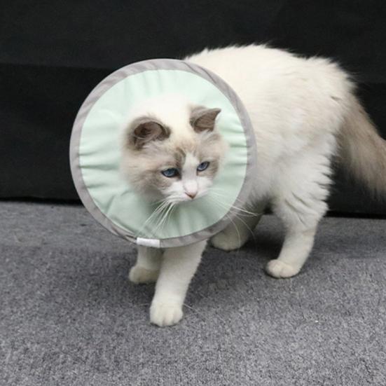 Ошейник Yousheng Pets водонепроницаемый, антилизающий, нейлоновый, не раздражающий кожу, защитный круг для котят 
Ошейник Yousheng Pets водонепроницаемый, антилизающий, нейлоновый, не раздражающий кожу, защитный круг для котят
