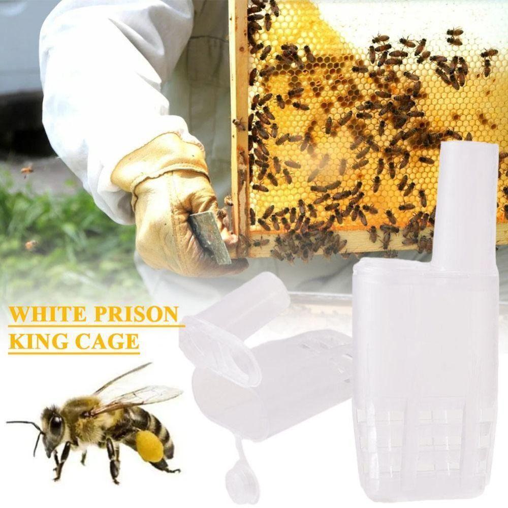 Tool Beekeeping Tool No-hurt Insect Catcher Queen Bee Cages Bee Cag Transparent Beekeeping House
Tool Beekeeping Tool No-hurt Insect Catcher Queen Bee Cages Bee Cag Transparent Beekeeping House