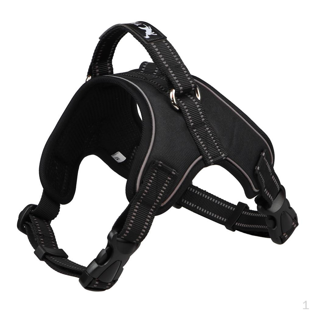 Нагрудный ремень для собак, мягкий регулируемый светоотражающий дышащий жилет S
Нагрудный ремень для собак, мягкий регулируемый светоотражающий дышащий жилет S