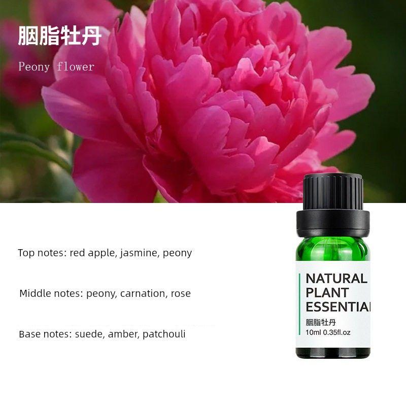 Car Air Freshener Refill Pack with Natural Plant Essential Oils, Diffuser Gypsum, Special Fragrance, Long-Lasting Scent Rouge Peony (Loved by Gentle and Sweet Girls)
Car Air Freshener Refill Pack with Natural Plant Essential Oils, Diffuser Gypsum, Special Fragrance, Long-Lasting Scent Rouge Peony (Loved by Gentle and Sweet Girls)