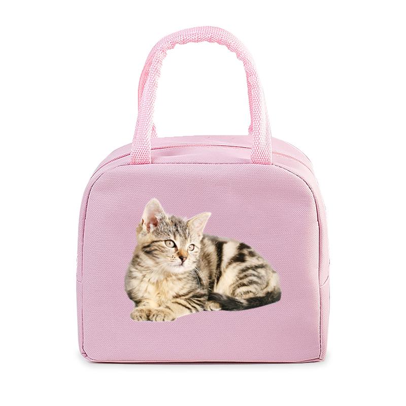 Funny 3D Cats Portable Lunch Bag Durable Office Women Men Thermal Box Cartoon Lunch Handbags Cooler Insulated Food Lunch Bags
Funny 3D Cats Portable Lunch Bag Durable Office Women Men Thermal Box Cartoon Lunch Handbags Cooler Insulated Food Lunch Bags