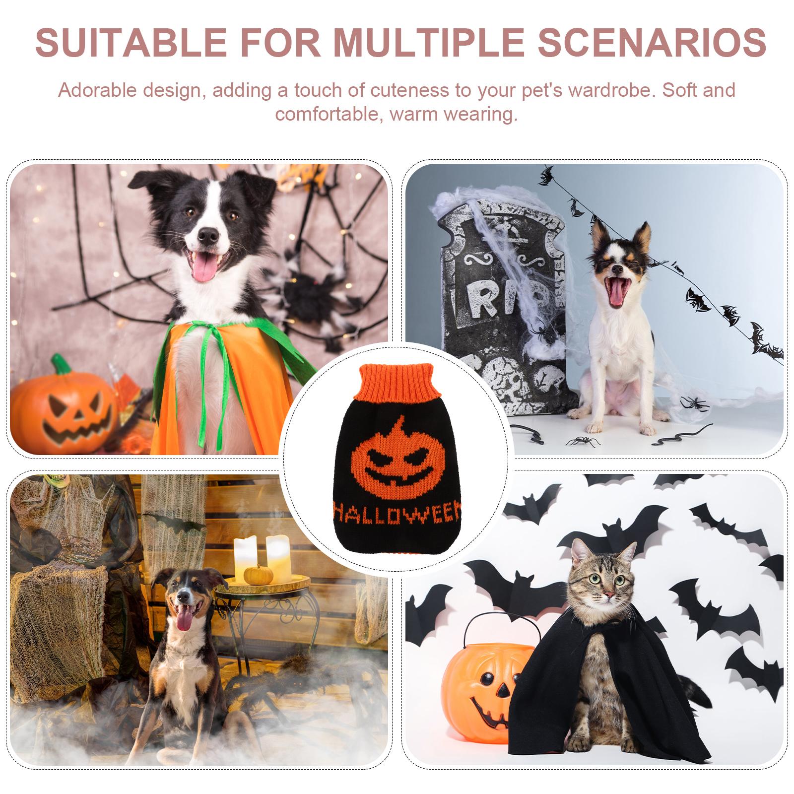 Halloween Pumpkin Sweater Thick Warm Dog Clothes Adorable Cat Knitwear Winter Pet Supplies Soft Material Reusable 28.00X18.00X18.00CM
Halloween Pumpkin Sweater Thick Warm Dog Clothes Adorable Cat Knitwear Winter Pet Supplies Soft Material Reusable 28.00X18.00X18.00CM