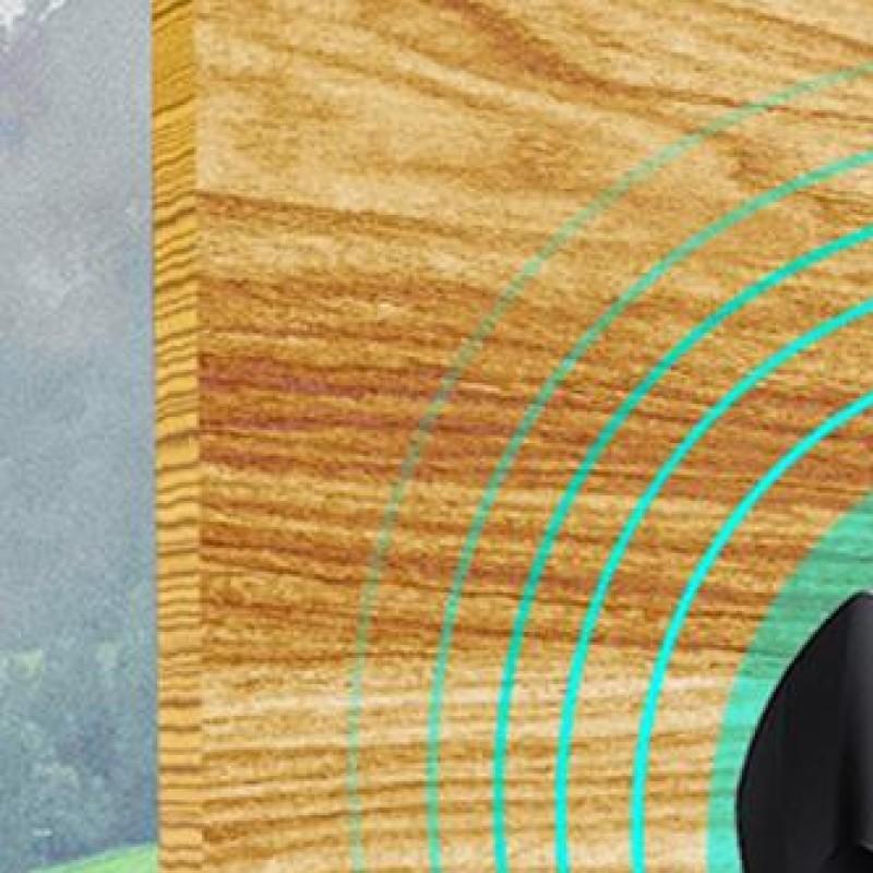 Concrete Brick Detector Multi-Purpose Cement Hygrometer Inverted Wood Moisture Meter for Wall Masonry Softwood Hardwood China Mainland
Concrete Brick Detector Multi-Purpose Cement Hygrometer Inverted Wood Moisture Meter for Wall Masonry Softwood Hardwood China Mainland