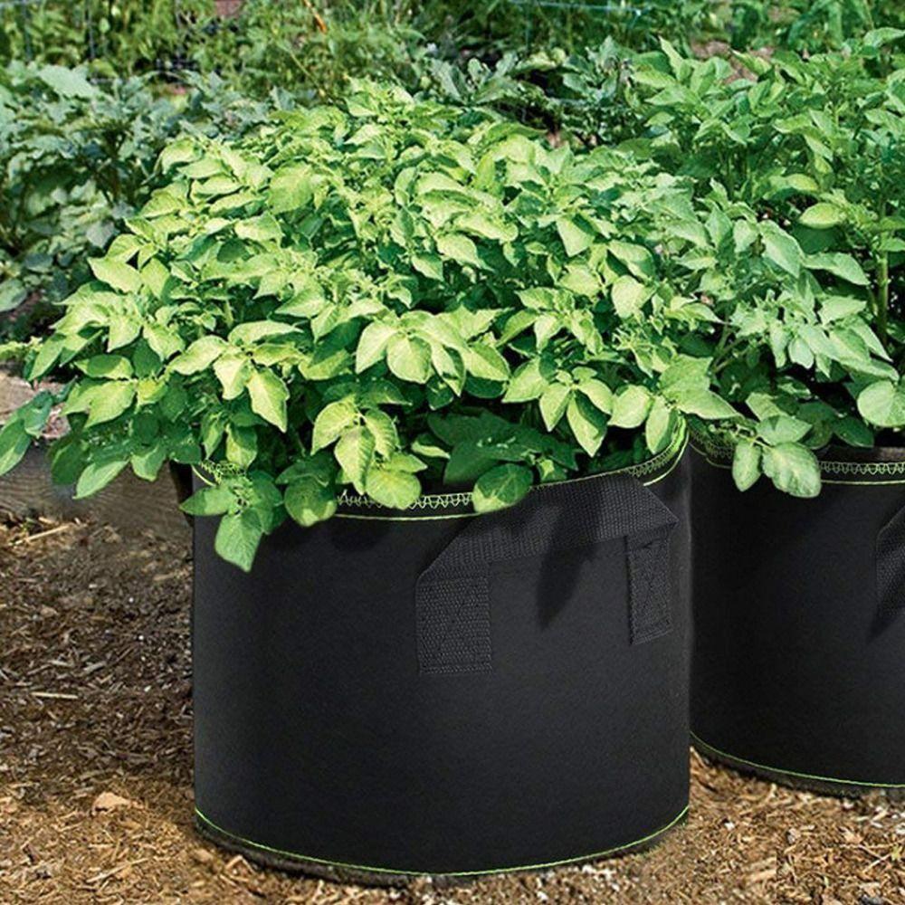 Vegetable Strawberry Container Box Tomato Nursery Pot Growing Planter Planting Pots Gardening Pot 1 Gallon
Vegetable Strawberry Container Box Tomato Nursery Pot Growing Planter Planting Pots Gardening Pot 1 Gallon