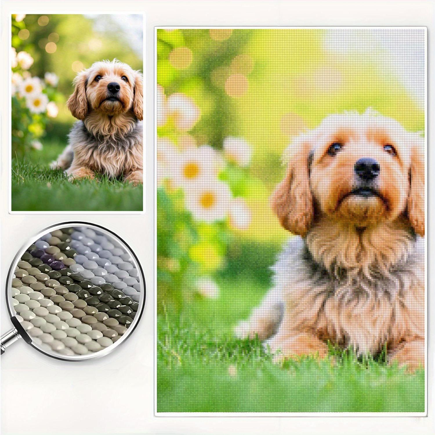 Наборы для алмазной мозаики на заказ для взрослых, персонализированный декор для дома с частным изображением, рукоделие для семьи, мамы, папы, детей, собаки, друзей, любимых (Круглое сверло) 40x50
Наборы для алмазной мозаики на заказ для взрослых, персонализированный декор для дома с частным изображением, рукоделие для семьи, мамы, папы, детей, собаки, друзей, любимых (Круглое сверло) 40x50