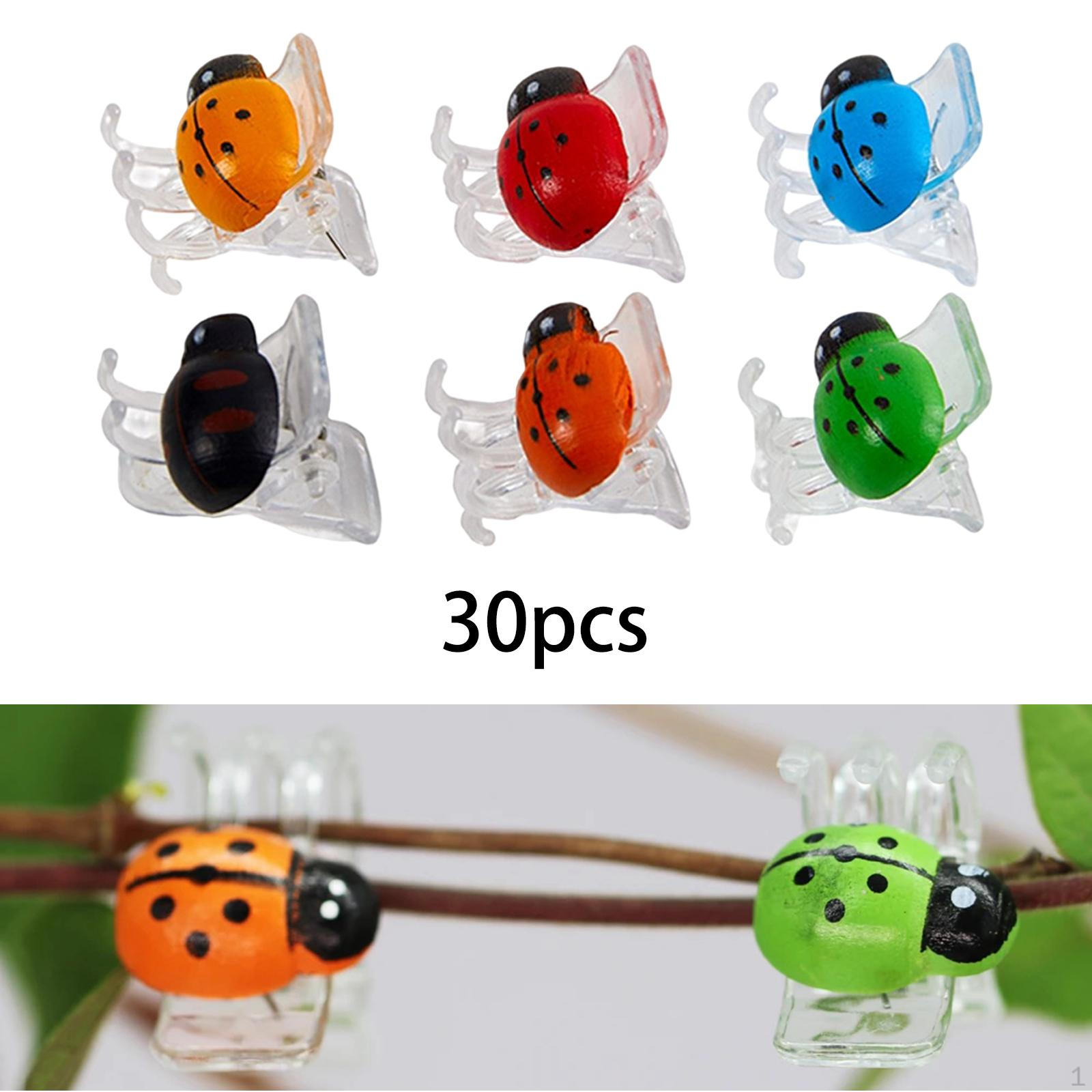 30x Plant Clips Support Clamps Fixing Practical Orchid Grafting Grow Upright Climbing for
30x Plant Clips Support Clamps Fixing Practical Orchid Grafting Grow Upright Climbing for