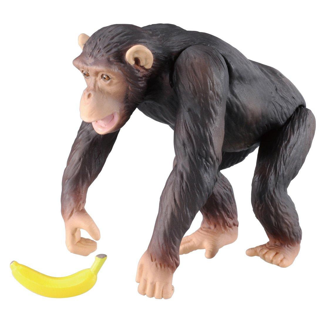 TAKARA TOMY Animal Dinosaur Realistic Moving Figure Toy Ages 3 and up Toy Safety Standards Passed ST Mark Certified ANIA ANIA AS-14 Chimpanzee
TAKARA TOMY Animal Dinosaur Realistic Moving Figure Toy Ages 3 and up Toy Safety Standards Passed ST Mark Certified ANIA ANIA AS-14 Chimpanzee