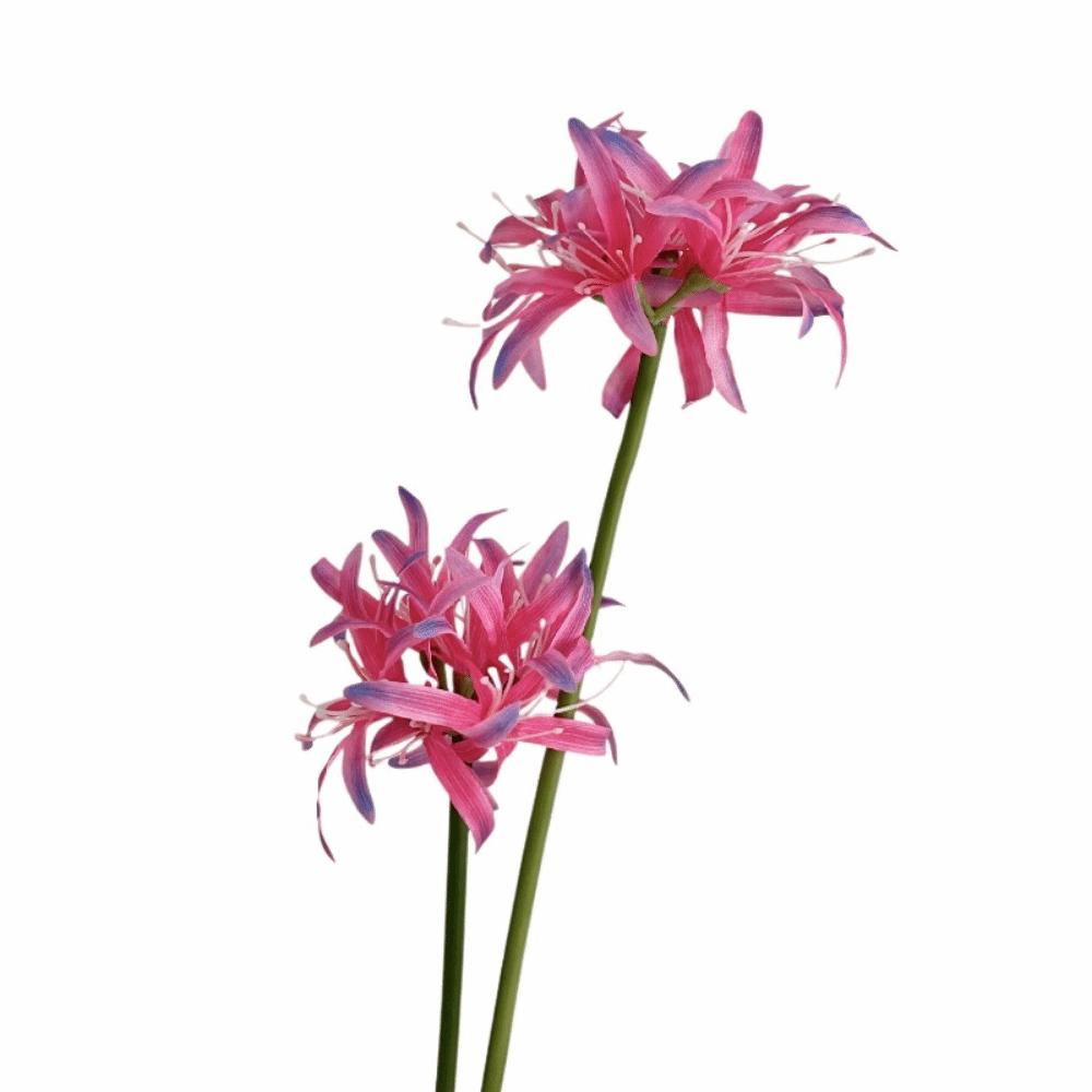 Real Touch Artificial Higanbana Flower Realistic Simulation Equinox Flower Wedding Site Decoration розы красного
Real Touch Artificial Higanbana Flower Realistic Simulation Equinox Flower Wedding Site Decoration розы красного