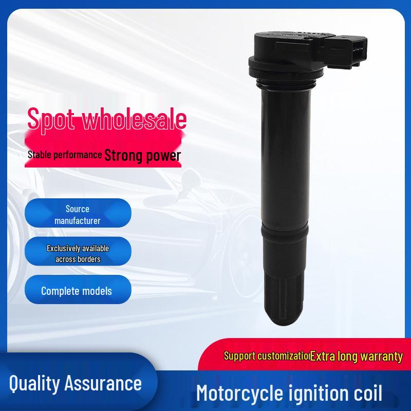 Benelli Huanglong 302S High Voltage Ignition Coil Pack Accessories
Benelli Huanglong 302S High Voltage Ignition Coil Pack Accessories