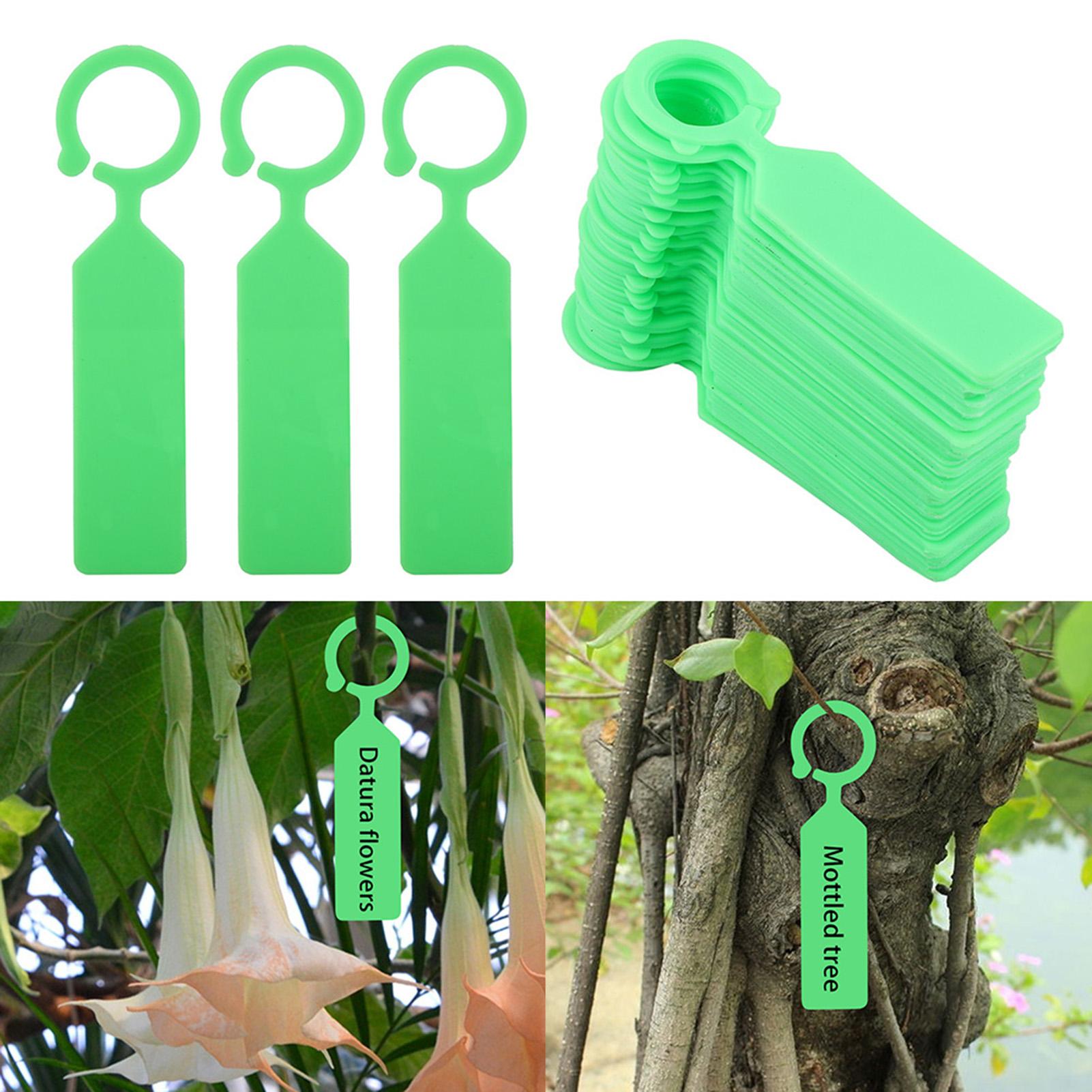 100 PCS Plastic Hanging Labels for Plant Tree Nursery Seedling Tags Garden Decor зелений
100 PCS Plastic Hanging Labels for Plant Tree Nursery Seedling Tags Garden Decor зелений