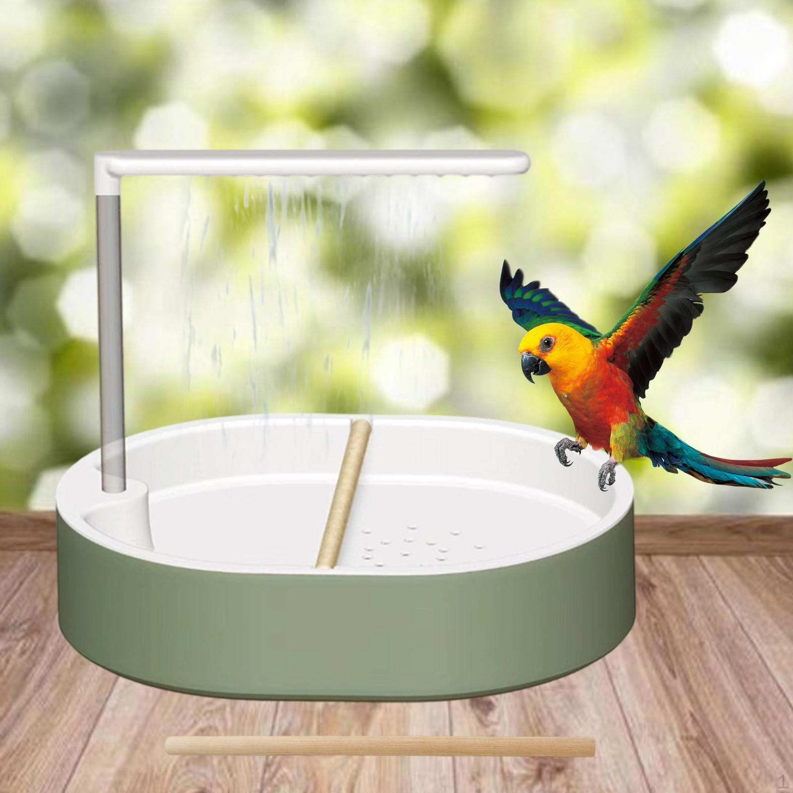 Автоматическая ванна для попугаев, Легкая, с аксессуарами, USB-подключение, Идеальна для африканского серого
Автоматическая ванна для попугаев, Легкая, с аксессуарами, USB-подключение, Идеальна для африканского серого