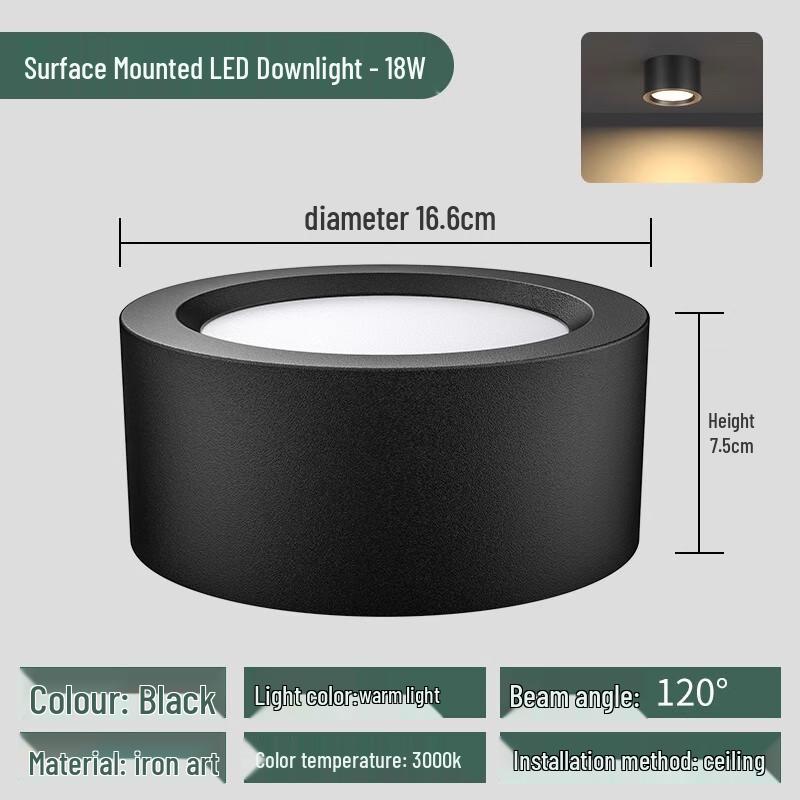 Li Shen Round LED Surface Mounted Downlight
Li Shen Round LED Surface Mounted Downlight
