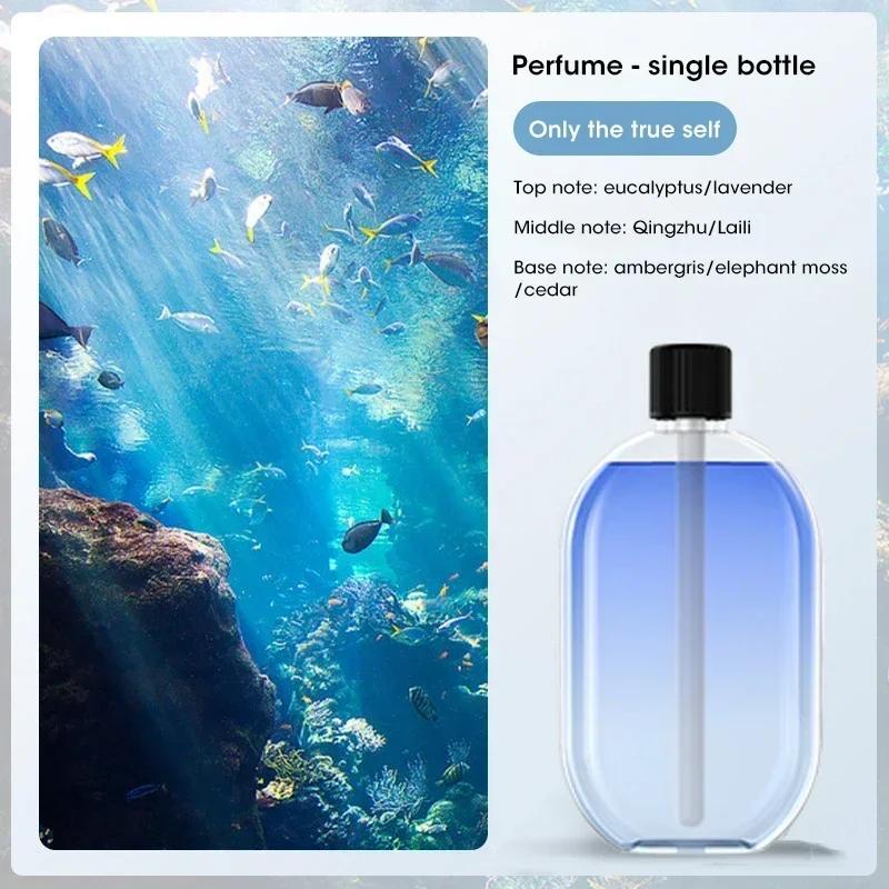 USB Essential Oil Diffuser Auto Aromatherapy 7 Color LED Timer for Home Office Car Bedroom Relaxing Fragrance
USB Essential Oil Diffuser Auto Aromatherapy 7 Color LED Timer for Home Office Car Bedroom Relaxing Fragrance