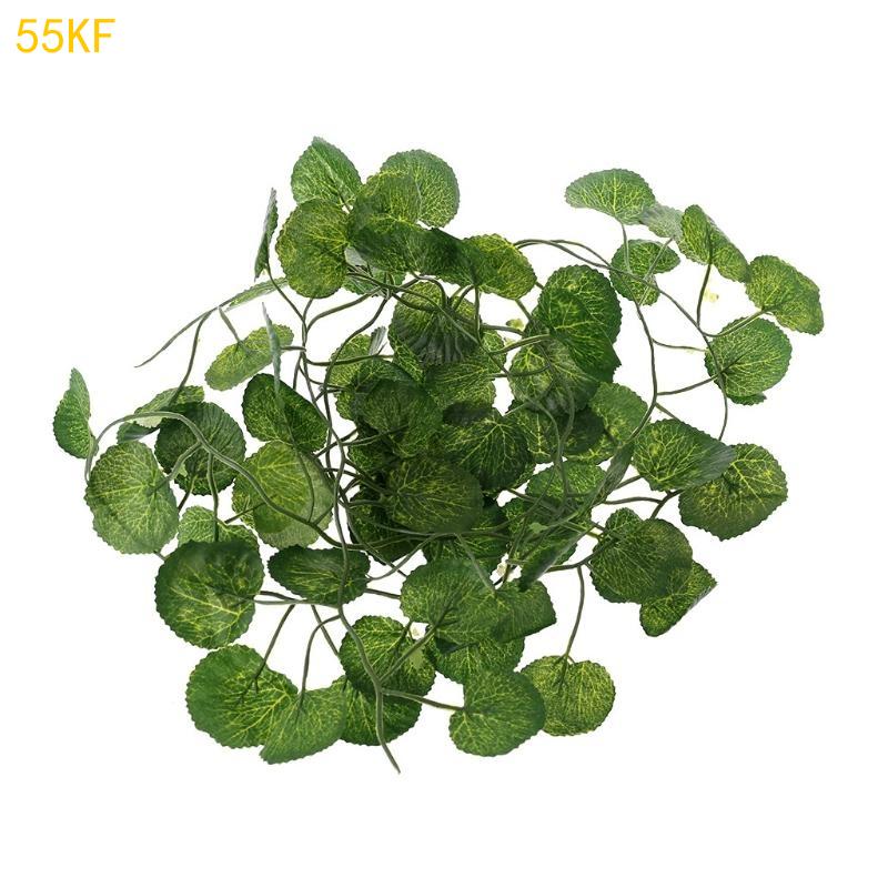 55KF Pet Corner Branch Plants for Amphibian Bearded Dragon темно-коричневого кольору
55KF Pet Corner Branch Plants for Amphibian Bearded Dragon темно-коричневого кольору