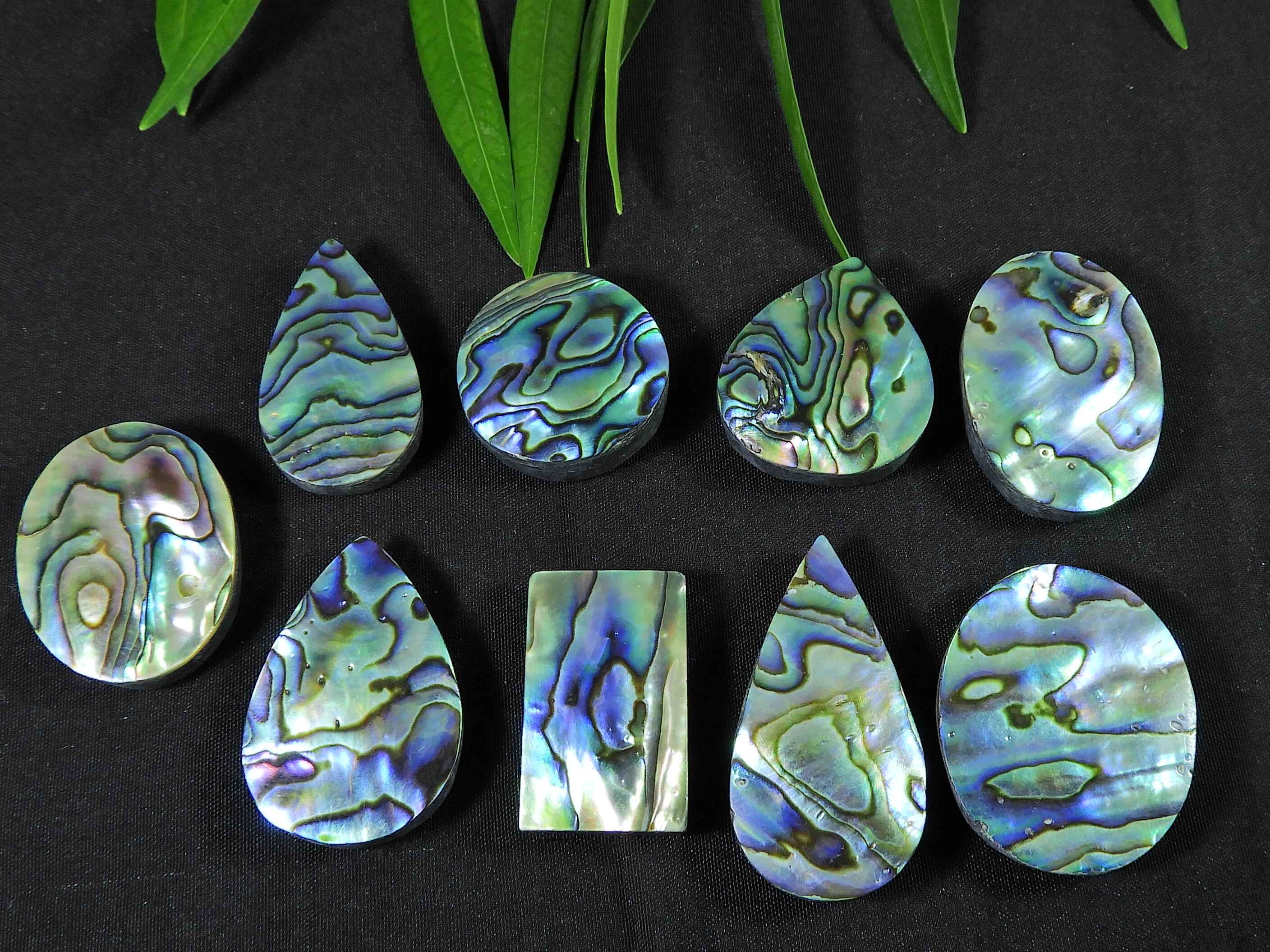 30-35MM Natural Abalone Shell Oval cabochon loose Gemstone 9Pcs Lot 312Cts. RQ-3037
30-35MM Natural Abalone Shell Oval cabochon loose Gemstone 9Pcs Lot 312Cts. RQ-3037