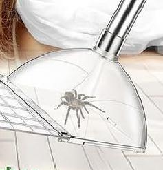 Spider Catchers For Inside 32 Inches Adjustable Fly Picker Capture Release Reusable Trap Flying Control Indoor Fly Catchers CN
Spider Catchers For Inside 32 Inches Adjustable Fly Picker Capture Release Reusable Trap Flying Control Indoor Fly Catchers CN