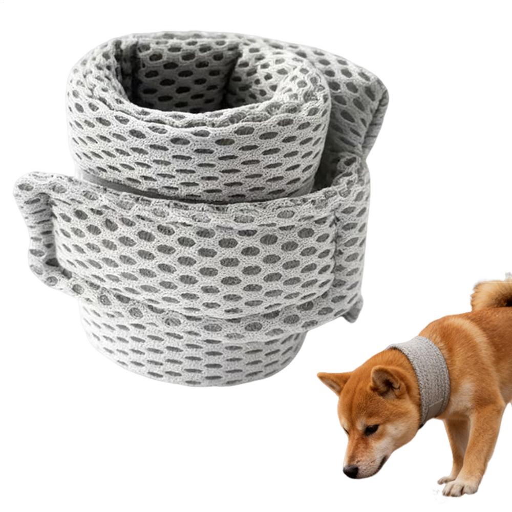 Dog Cone Collar Anti Licking Breathable Soft Comfortable Soft Cone Dog Recovery Collar For Pet Puppy Kitten Small Breed Head (Gray,M) серый
Dog Cone Collar Anti Licking Breathable Soft Comfortable Soft Cone Dog Recovery Collar For Pet Puppy Kitten Small Breed Head (Gray,M) серый