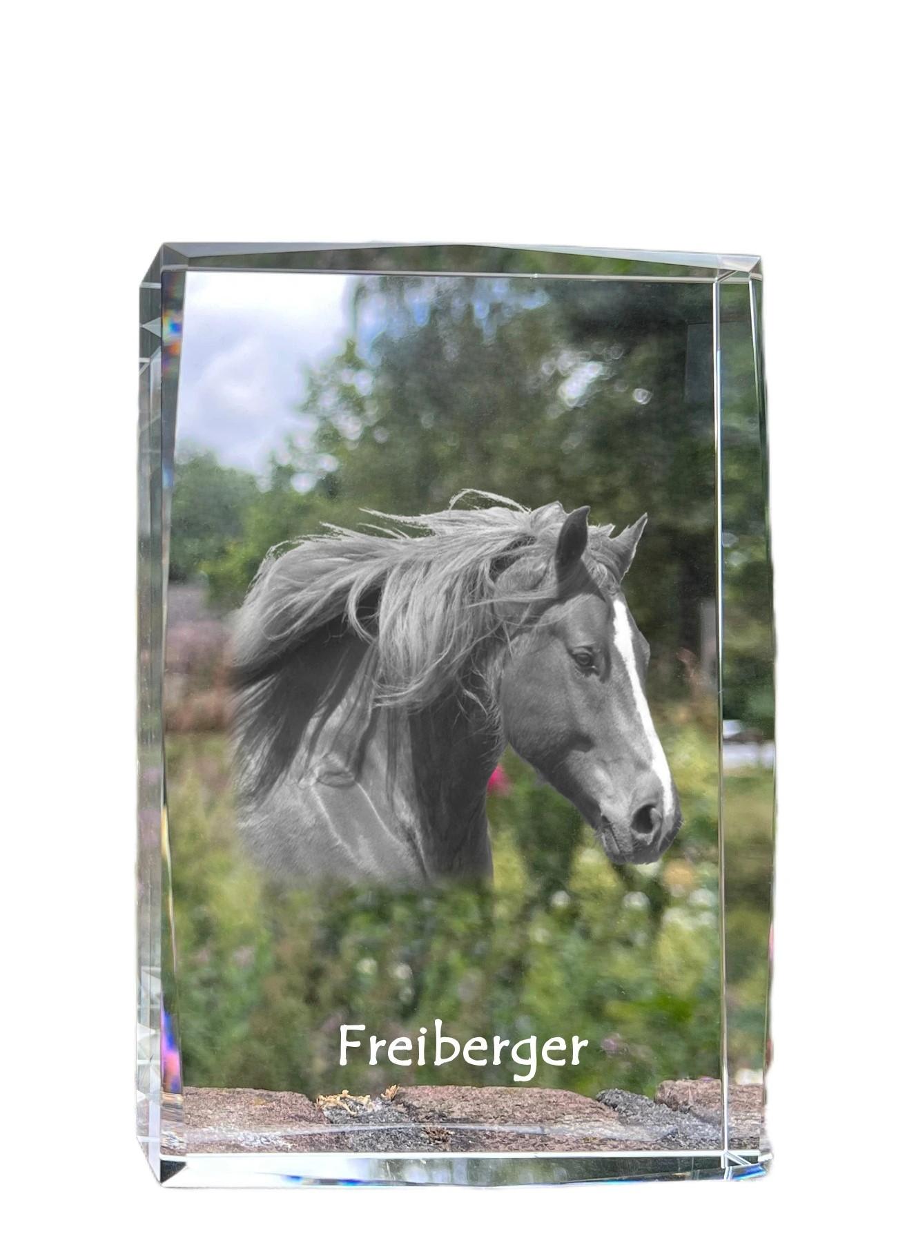 Freiberger - crystal with a picture of a horse, photo in glass, modern exhibition of Art-Dog brand photo прозорий
Freiberger - crystal with a picture of a horse, photo in glass, modern exhibition of Art-Dog brand photo прозорий