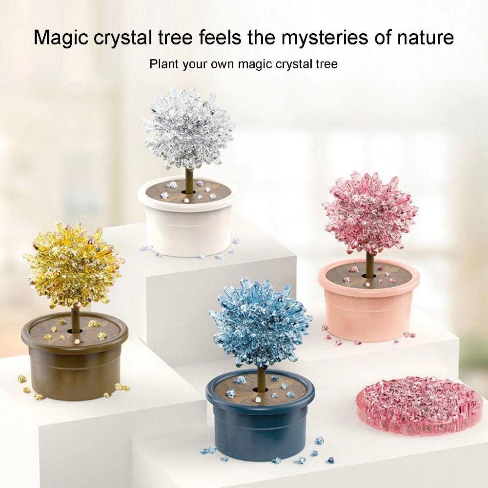 Colored Crystals Science Experiments Toy Grow a Crystal Crystal Making Kit Girls рожевий
Colored Crystals Science Experiments Toy Grow a Crystal Crystal Making Kit Girls рожевий