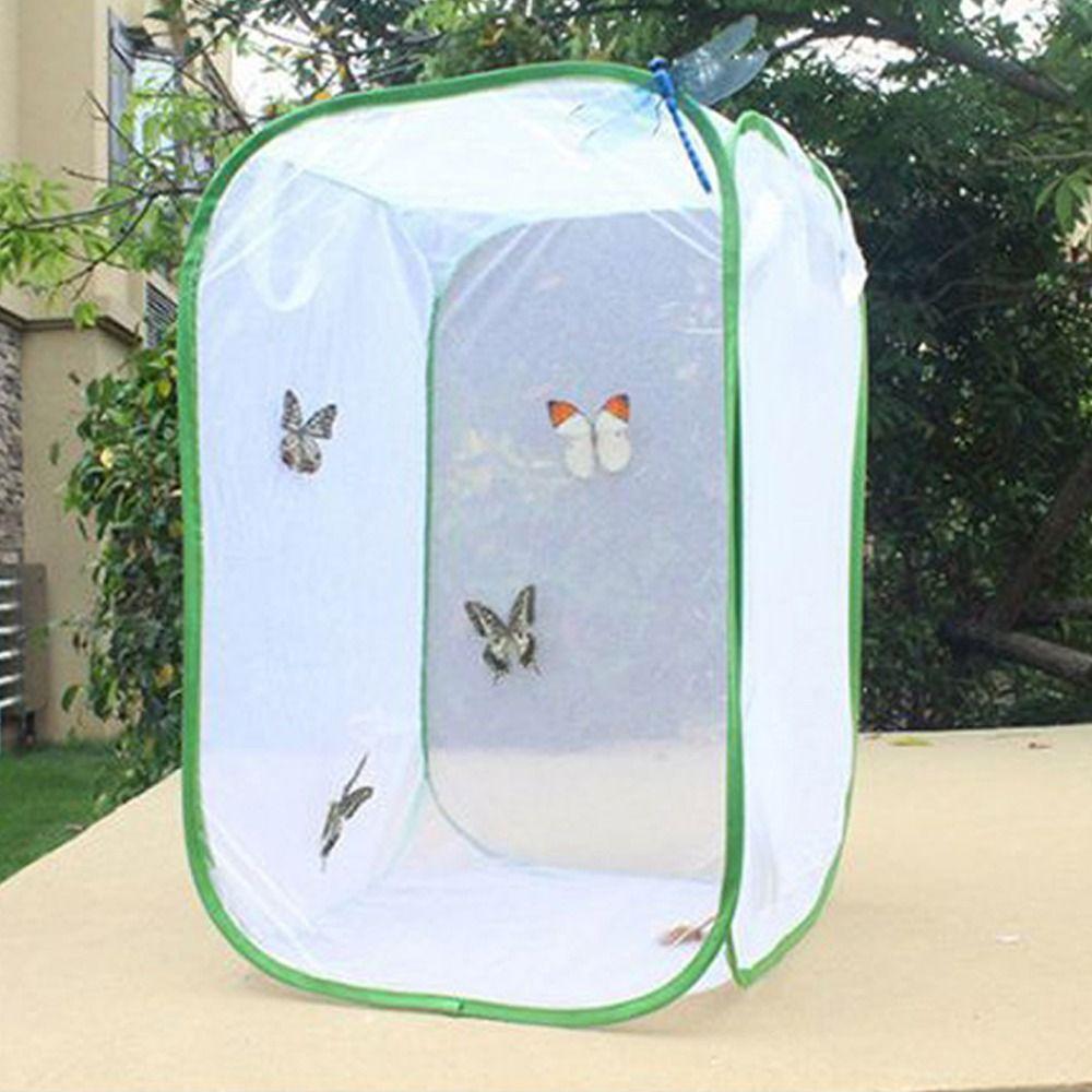 New Pop-up Butterfly Habitat Collapsible Transparent Sunroom Outdoor Practical Insect Cage
New Pop-up Butterfly Habitat Collapsible Transparent Sunroom Outdoor Practical Insect Cage