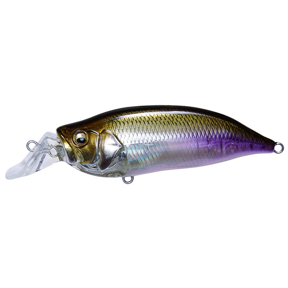 Megabass Lure IXI SHAD HT Smelt TYPE-R
Megabass Lure IXI SHAD HT Smelt TYPE-R