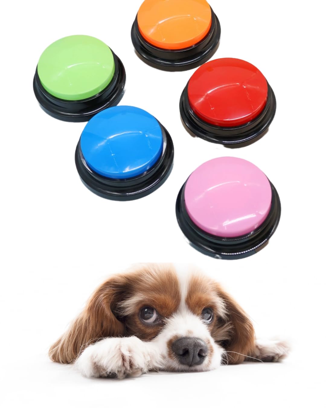 Pet Dog Cat Communication Conversation Chatting Recording Educational Toy Button Training Discipline Supplies Set of 4 (Handprint Included)
Pet Dog Cat Communication Conversation Chatting Recording Educational Toy Button Training Discipline Supplies Set of 4 (Handprint Included)