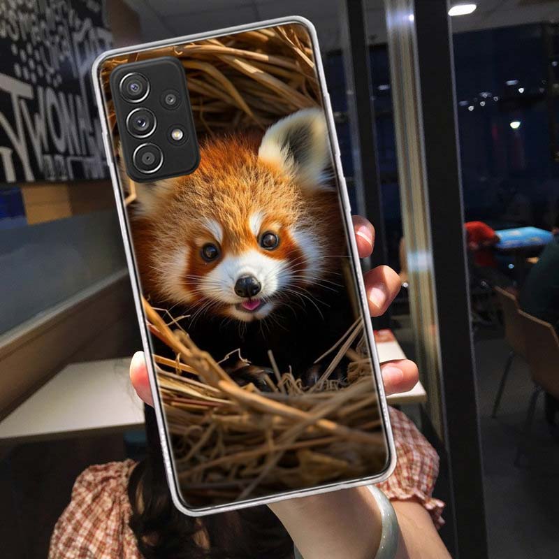 Popular red pandas Phone Case for Samsung A54 A57 A37 A17 A14 A15 A12 A24 A34 A55 A35 A25 A52S A07 A05S A04S A22 A32 A72 Galaxy Samsung A05
Popular red pandas Phone Case for Samsung A54 A57 A37 A17 A14 A15 A12 A24 A34 A55 A35 A25 A52S A07 A05S A04S A22 A32 A72 Galaxy Samsung A05