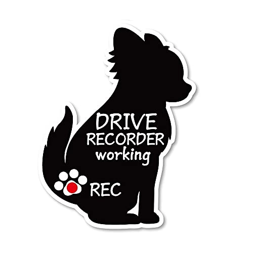 Наклейка Силуэт Чихуахуа SignStore, Запись видеорегистратора, Прибл.. 14.5см x 11см, Разноцветный, Винил, Сделано в Японии, Водонепроницаемый, car_character_08
Наклейка Силуэт Чихуахуа SignStore, Запись видеорегистратора, Прибл.. 14.5см x 11см, Разноцветный, Винил, Сделано в Японии, Водонепроницаемый, car_character_08