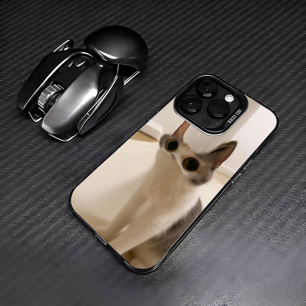 F-Funny C-Cat C-Cute Phone Case For iPhone 17,16,15,14,13,12,11 Plus,Pro Max,XS,Colorful Silver Phone case Funda Cover iPhone16
F-Funny C-Cat C-Cute Phone Case For iPhone 17,16,15,14,13,12,11 Plus,Pro Max,XS,Colorful Silver Phone case Funda Cover iPhone16