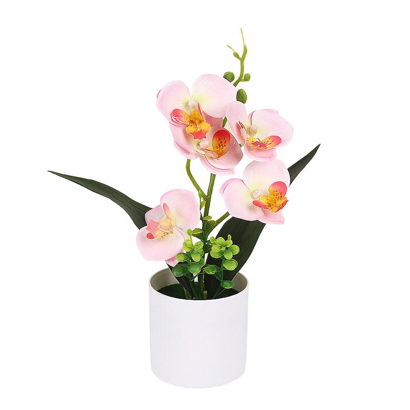 Plastic Bonsai Desktop Ornament White Flowerpot Multicolor Artificial Flower No-fading Butterfly Orchid Fake Butterfly Flower
Plastic Bonsai Desktop Ornament White Flowerpot Multicolor Artificial Flower No-fading Butterfly Orchid Fake Butterfly Flower