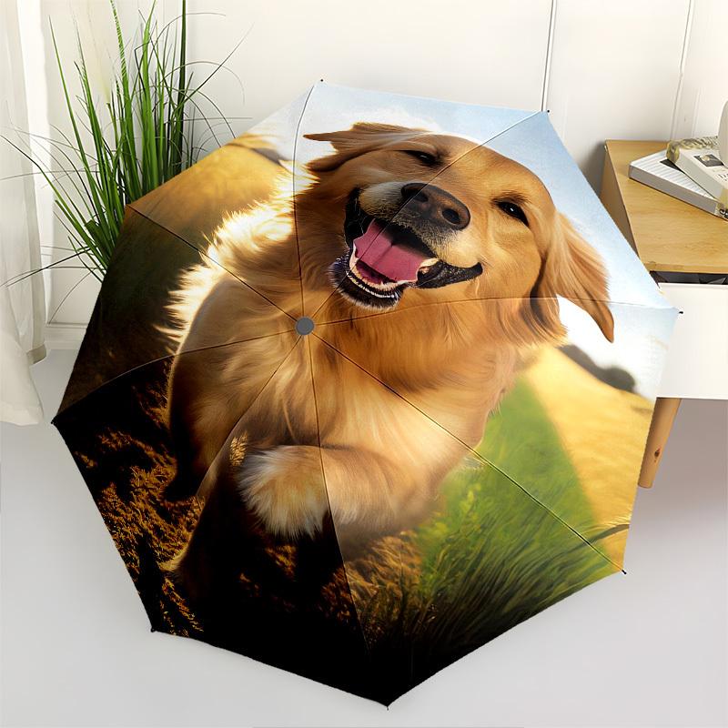 Golden Retriever, Wheat Field- Automatic umbrella,Suitable for Men and Women,Suitable for Birthdays, Christmas, Gifts for Fashion Lovers0915b
Golden Retriever, Wheat Field- Automatic umbrella,Suitable for Men and Women,Suitable for Birthdays, Christmas, Gifts for Fashion Lovers0915b
