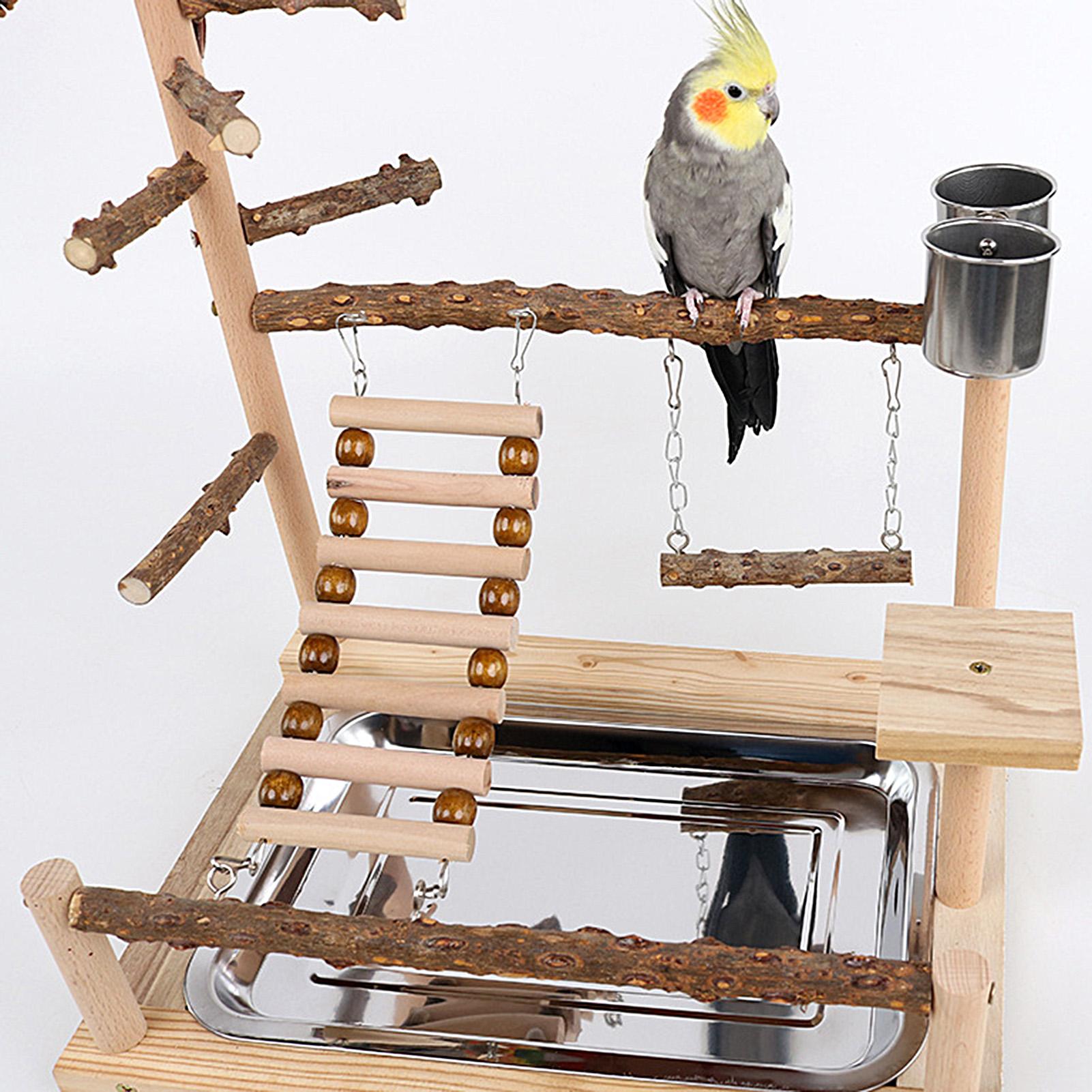 Parakeet Playground Wooden Toy Gym Bird Swing With Stainless Steel Cup And Tray For Cockatiel Conure Finch Lovebird Exercise China Mainland
Parakeet Playground Wooden Toy Gym Bird Swing With Stainless Steel Cup And Tray For Cockatiel Conure Finch Lovebird Exercise China Mainland