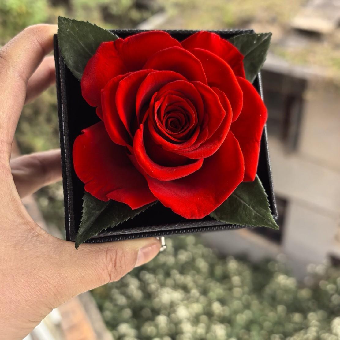 Eternal RoseJewelry Box Drawer Type Valentine s Mother s Teacher s Day Gift, Portable Keepsake Storage Box for Earrings Rings
Eternal RoseJewelry Box Drawer Type Valentine s Mother s Teacher s Day Gift, Portable Keepsake Storage Box for Earrings Rings