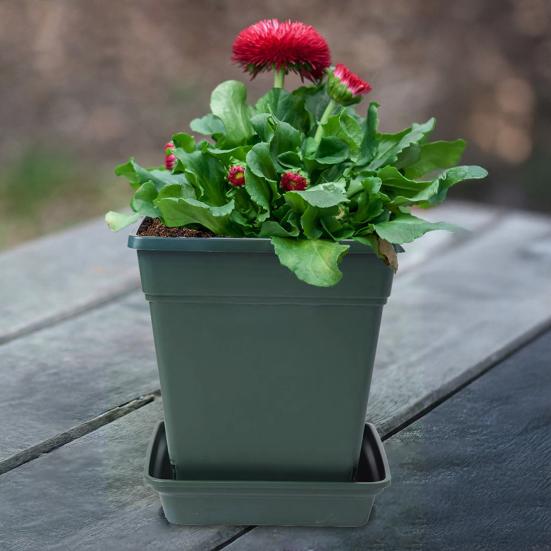 Yousheng Plant Saucer Square High Density Plastic Drip Tray Indoor Outdoor Garden Pots Overwatering Prevention Saucer 19.5cm
Yousheng Plant Saucer Square High Density Plastic Drip Tray Indoor Outdoor Garden Pots Overwatering Prevention Saucer 19.5cm