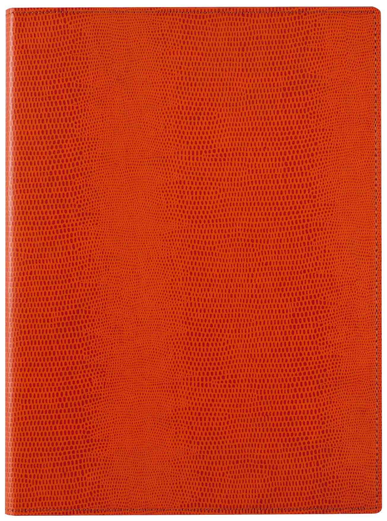 Блокнот Raymay Fujii Zeitvector B5 Оранжевый ZVP233D оранжевый
Блокнот Raymay Fujii Zeitvector B5 Оранжевый ZVP233D оранжевый