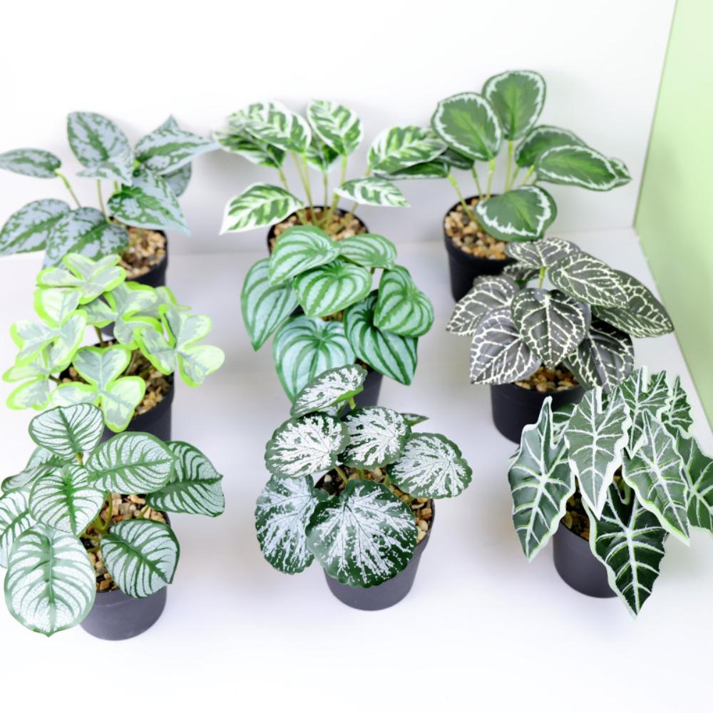 1Pc Simulation Plants Artificial Plant Bonsai Desktop Potted Green Bonsai Living Room 1
1Pc Simulation Plants Artificial Plant Bonsai Desktop Potted Green Bonsai Living Room 1