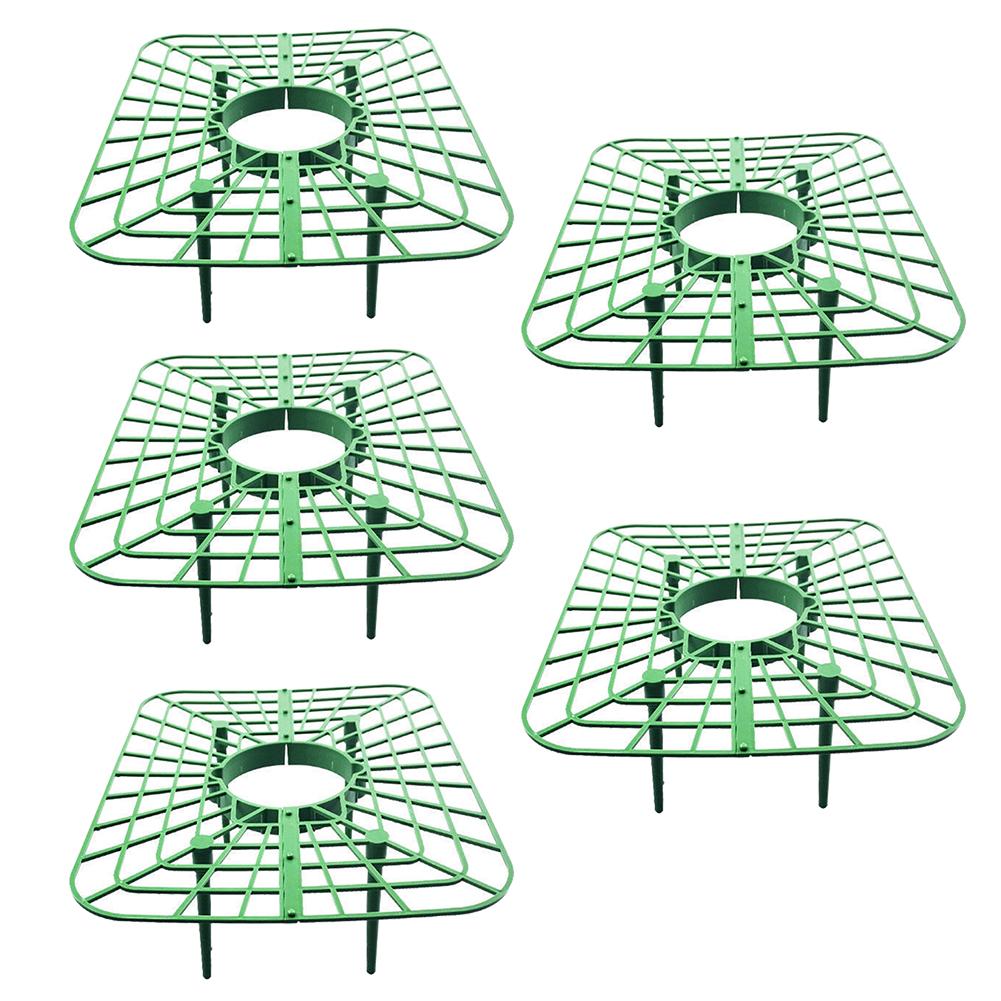 5/10pcs Strawberry Supports Strawberry Plant Support With 4 Sturdy Support Feet Horticultural Support Frame Accessories
5/10pcs Strawberry Supports Strawberry Plant Support With 4 Sturdy Support Feet Horticultural Support Frame Accessories