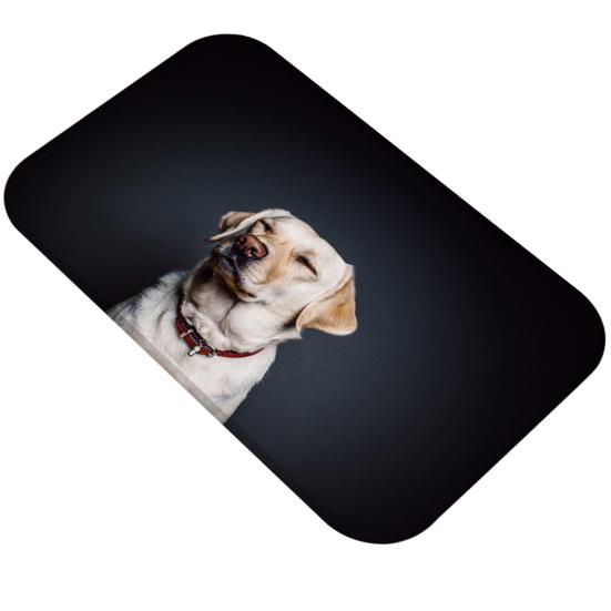 Прекрасная собака противоскользящий коврик для гостиной, ванной комнаты, кухни, напольный коврик, домашний декор
Прекрасная собака противоскользящий коврик для гостиной, ванной комнаты, кухни, напольный коврик, домашний декор