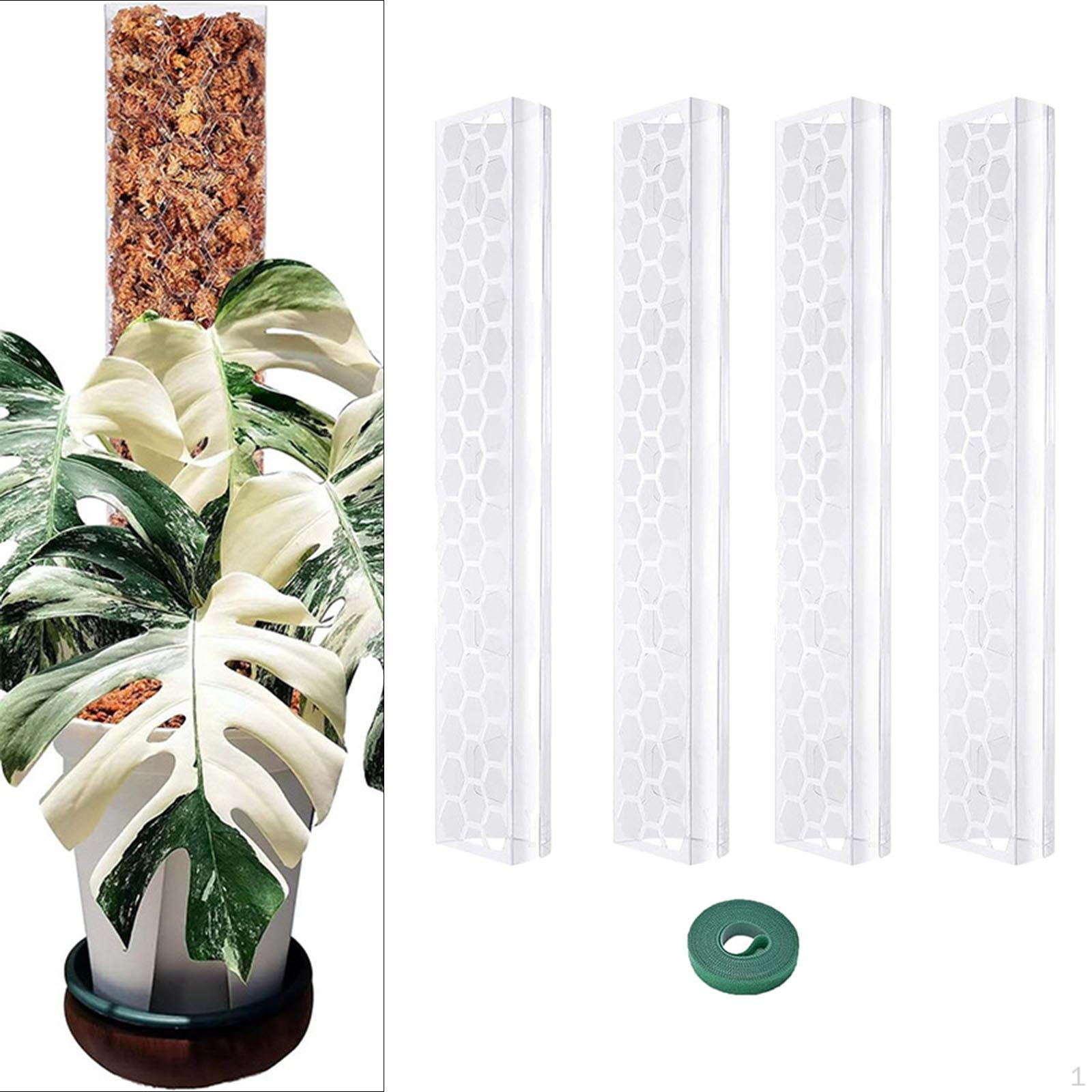 Аксессуары для шестов, практичная штабелируемая поддержка растений, палки для садовых цветов, для помещений 4pcs
Аксессуары для шестов, практичная штабелируемая поддержка растений, палки для садовых цветов, для помещений 4pcs