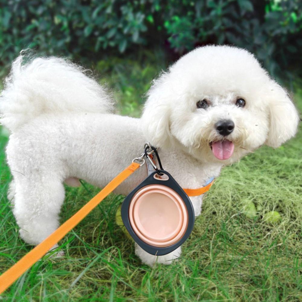 Bite Resistant Dog Dish Bowl TPR Cat Dog Food Water Bowl Portable Pet Travel Bowl Travel розовый
Bite Resistant Dog Dish Bowl TPR Cat Dog Food Water Bowl Portable Pet Travel Bowl Travel розовый