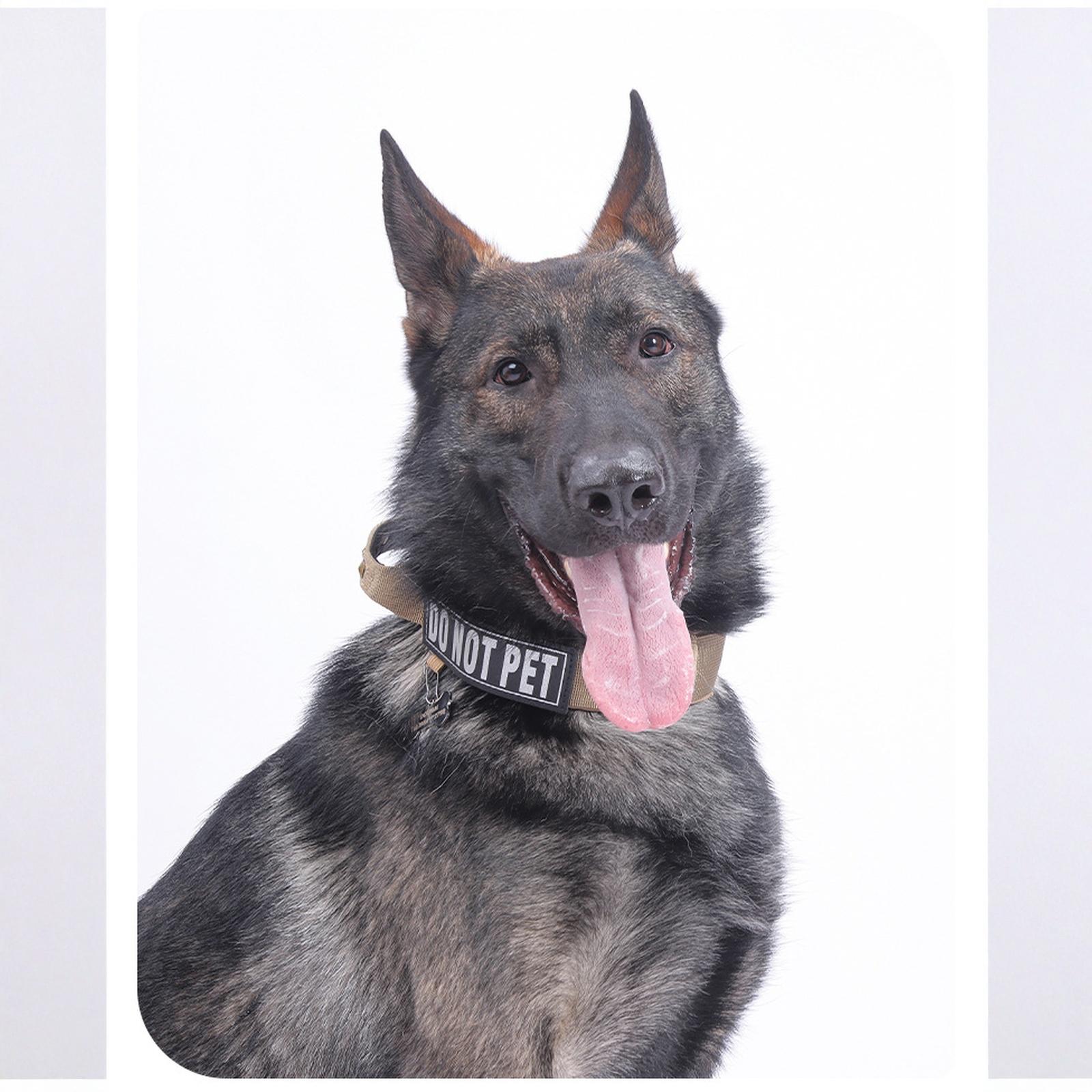 Dog Collar - Heavy Duty, Military Thick, Quick Release, Adjustable M хакі
Dog Collar - Heavy Duty, Military Thick, Quick Release, Adjustable M хакі