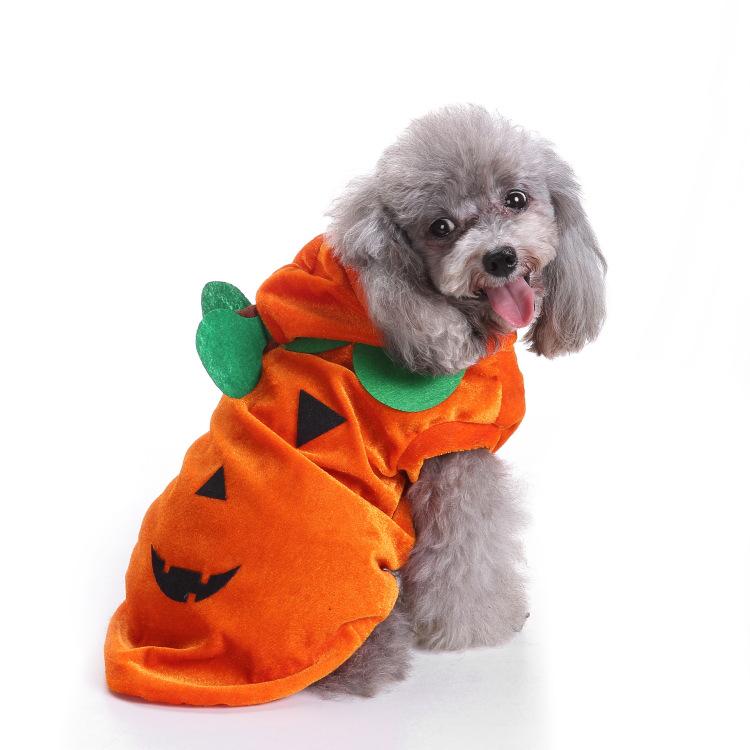 Halloween Pet Costume: Funny Turtle, Bat Riding Outfit for Small Dogs and Cats Large
Halloween Pet Costume: Funny Turtle, Bat Riding Outfit for Small Dogs and Cats Large